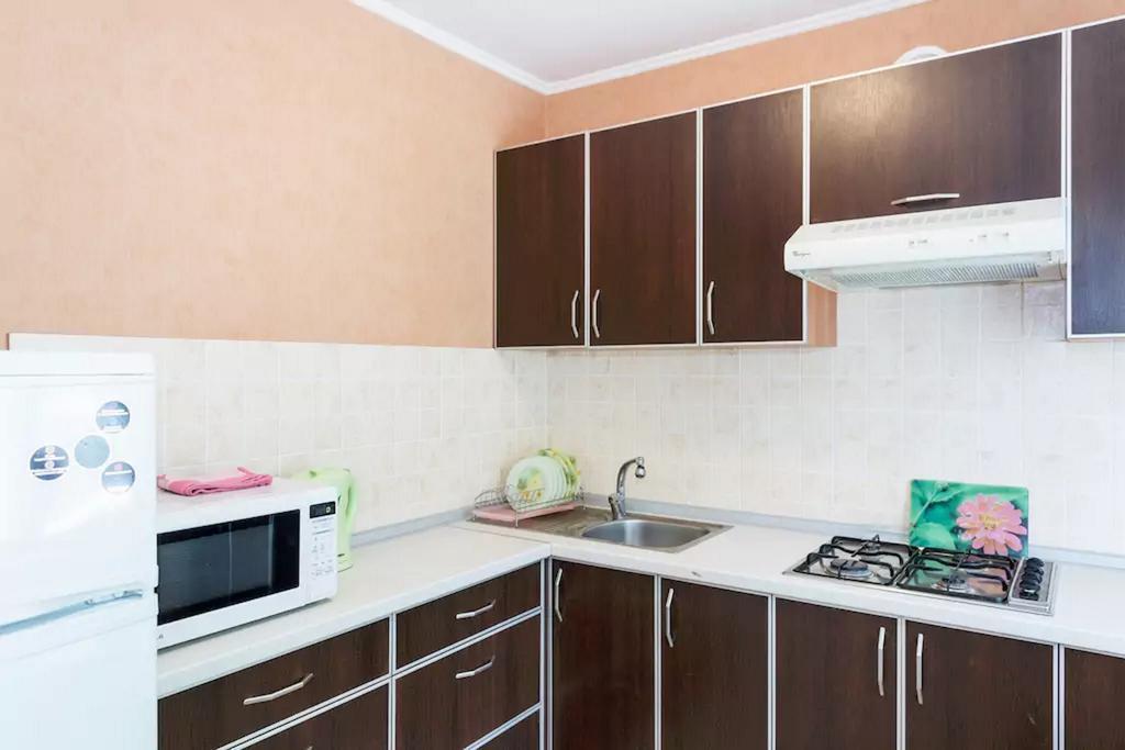 Apartment In Zaporozhye. Antica Zaporizhia Eksteriør billede