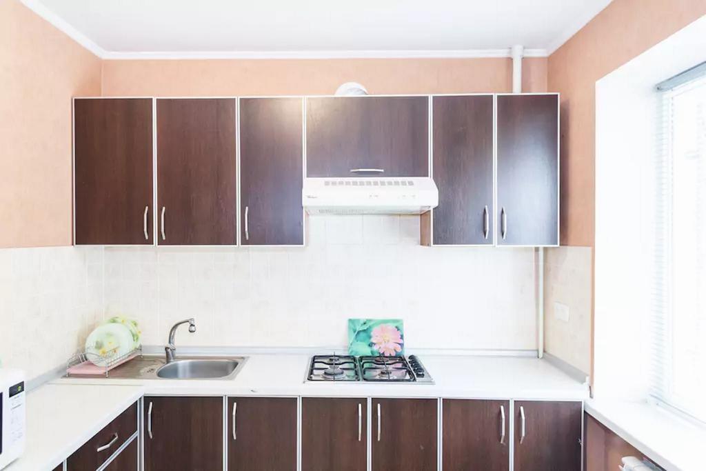 Apartment In Zaporozhye. Antica Zaporizhia Eksteriør billede